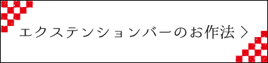 $B%(%/%9%F%s%7%g%s%P!<$N$*:nK!(B