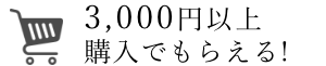3,000$B1_0J>e9XF~$G$b$i$($k(B